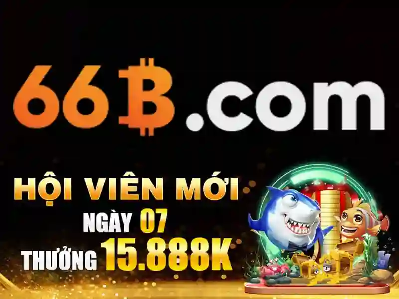 66B - 66B