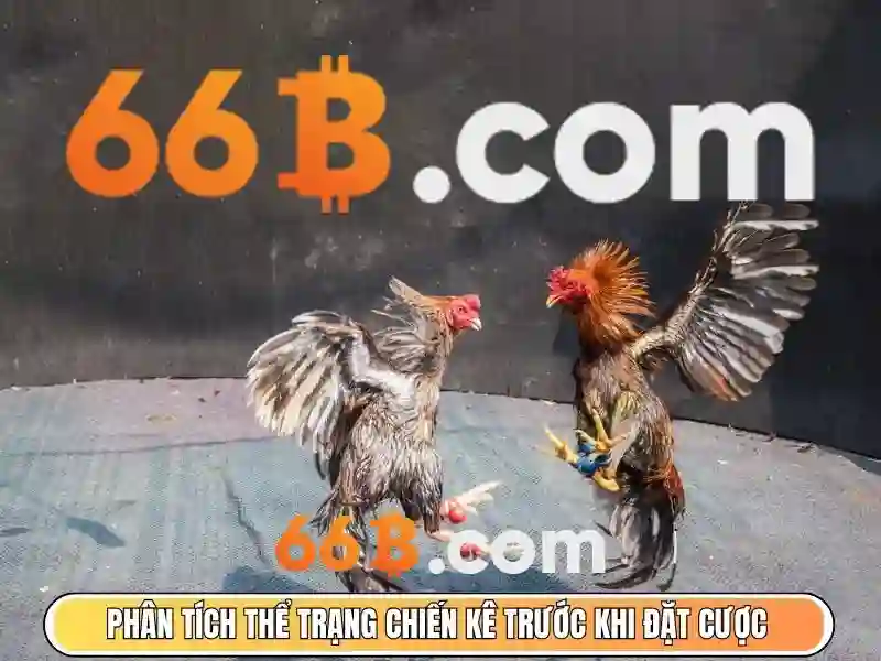  dịch vụ SLOT không bị chặn - 66B