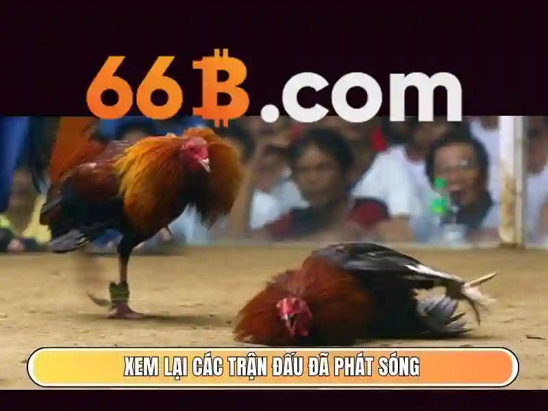  trò chơi slot - 66B