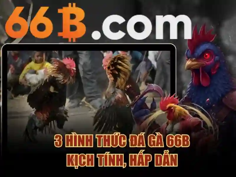 nổ hũ Slot - 66B