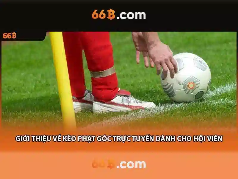 Giấy phép hoạt động - 66B