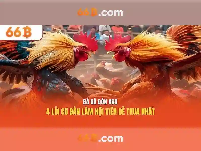  chính sách bảo mật 66B - 66B