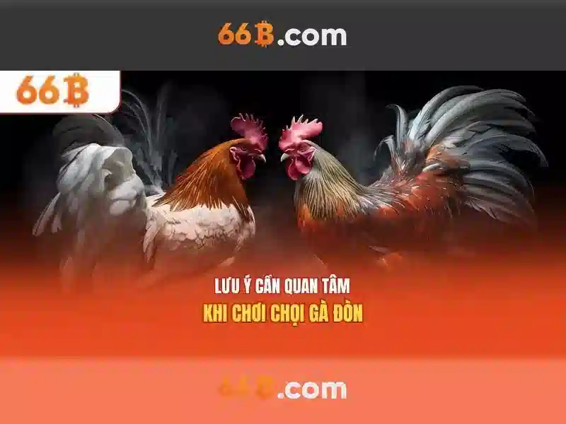 66B – Trải Nghiệm Game Slot Đỉnh Cao 2026 Với Ưu Đãi Hấp Dẫn - 66B