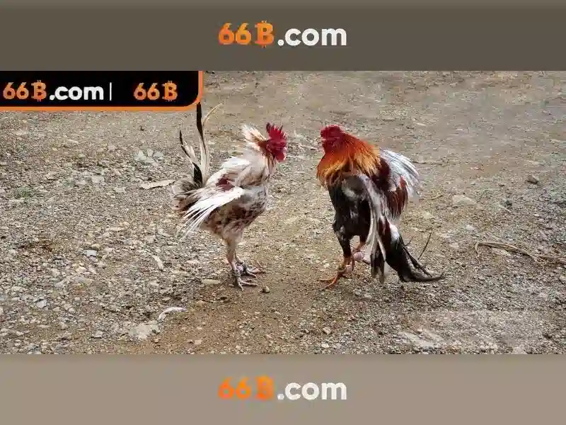 66B - 66B