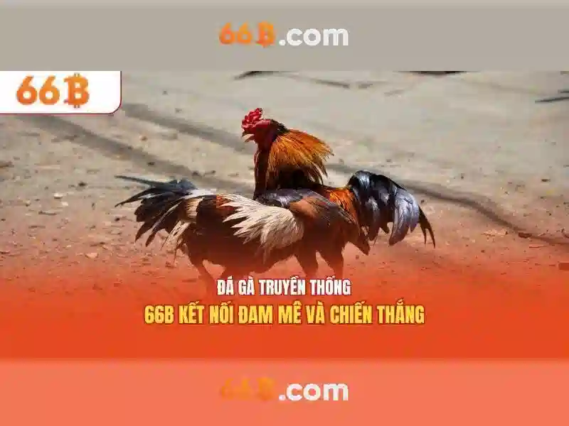 66B – Hướng Dẫn Truy Cập Không Bị Chặn 2026 - 66B
