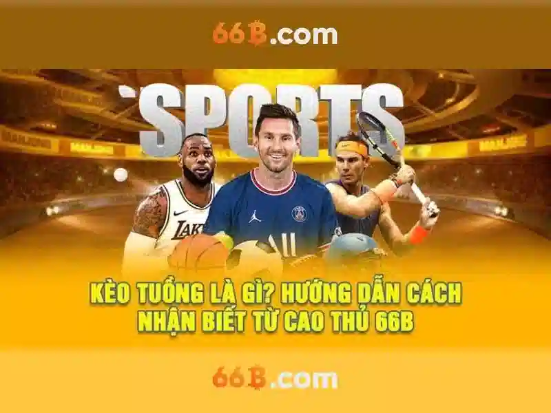 tra cứu nạp tiền 66b - 66B