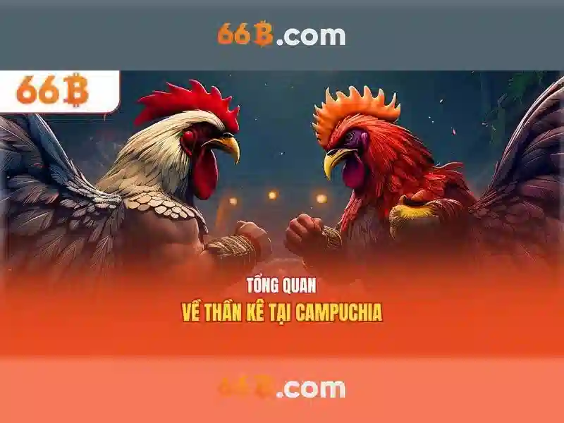  lô đề - 66B