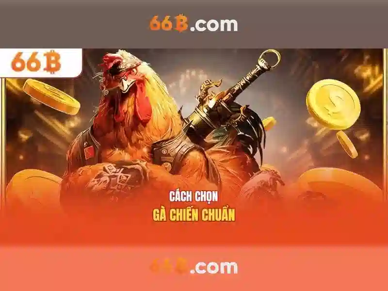  66b hoàn tiền - 66B