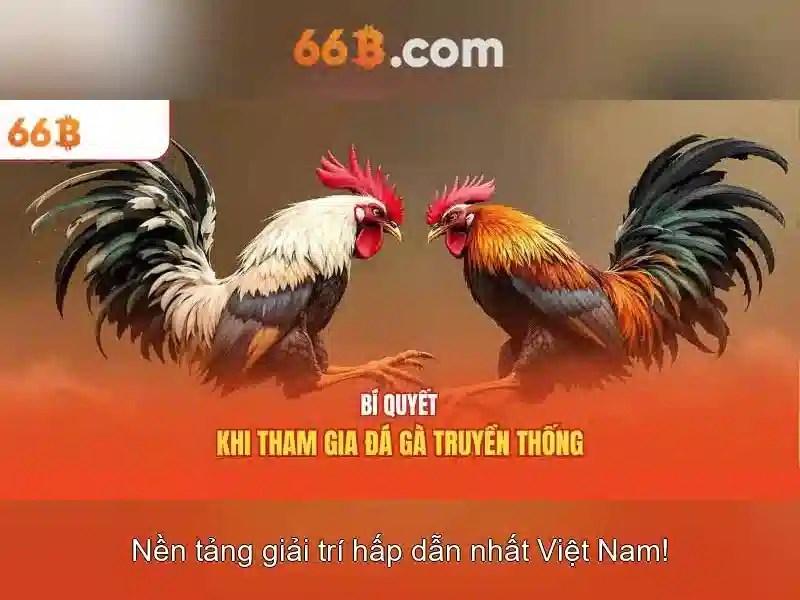 trải nghiệm 66B - 66B