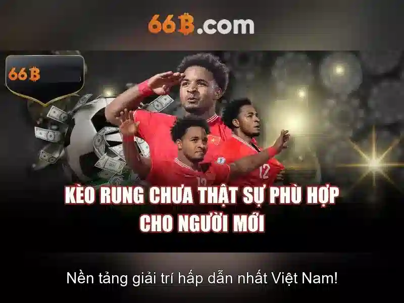  66B Official - 66B