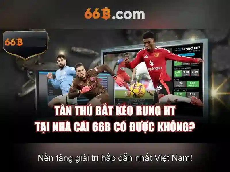 dịch vụ hỗ trợ Slot - 66B
