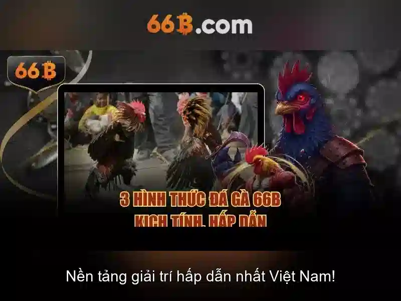  điều kiện - 66B