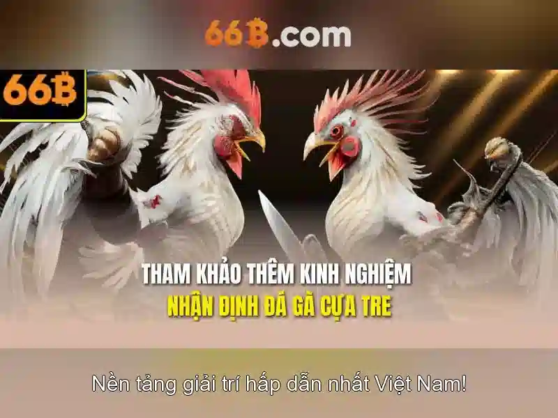 tải app 66B - 66B