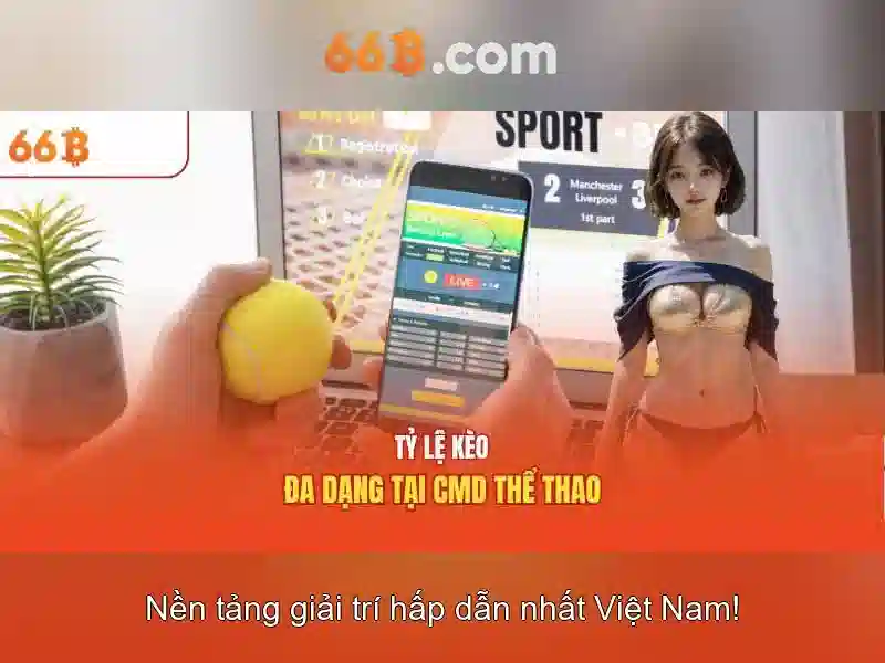 hỗ trợ 66B - 66B