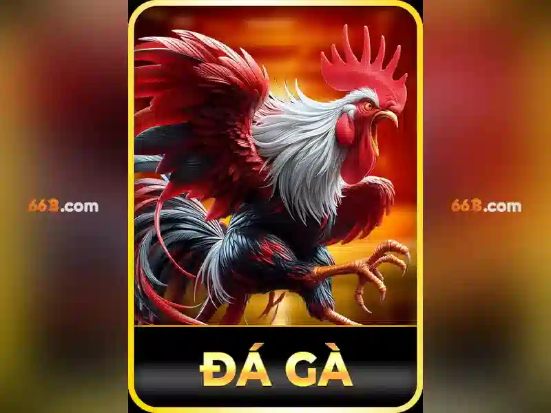  trải nghiệm giải trí - 66B