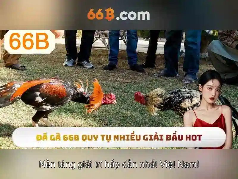bảo mật Slot - 66B