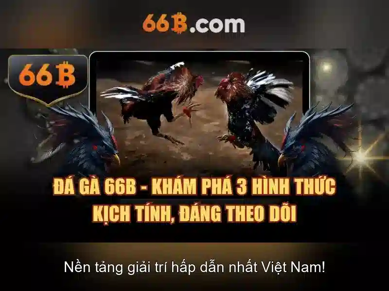 cờ tướng 66B chuyên nghiệp - 66B