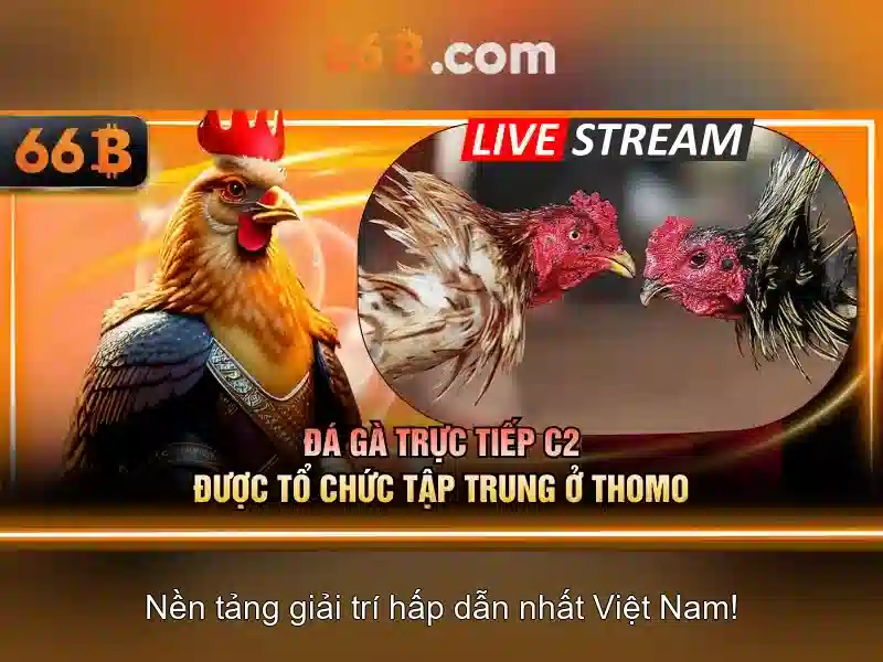 66b: Trải nghiệm casino trực tuyến đỉnh cao tại brightlux-led.co