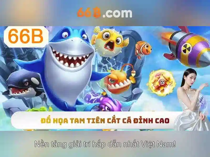 66B - 66B