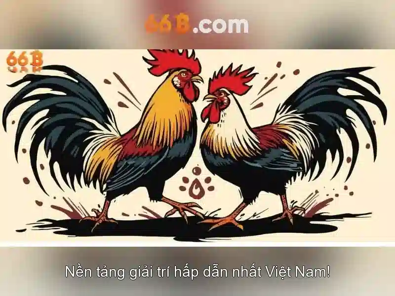 rút tiền - 66B