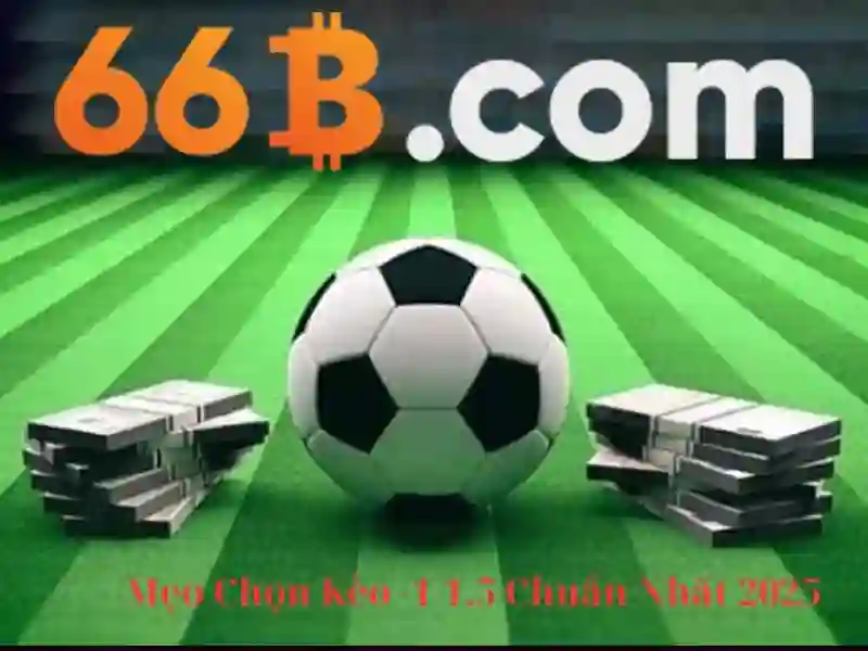tài khoản 66B - 66B
