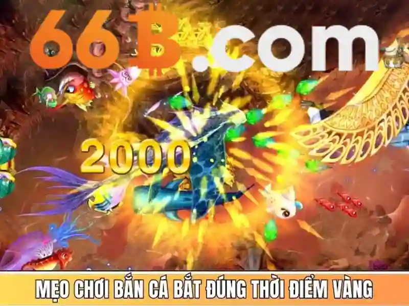  chương trình 66B - 66B