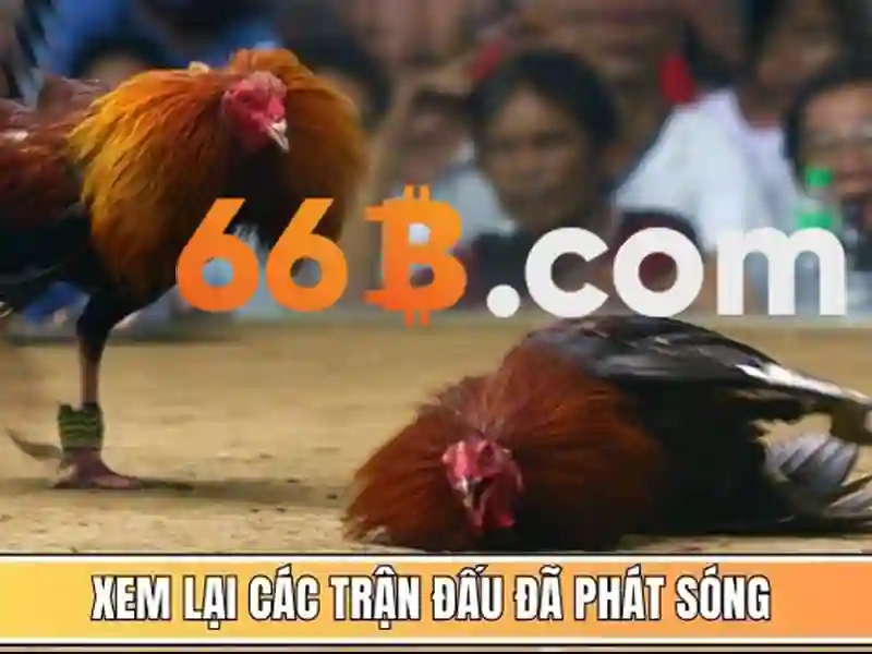  quản lý mật khẩu - 66B
