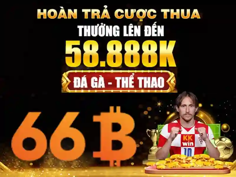  đăng ký - 66B